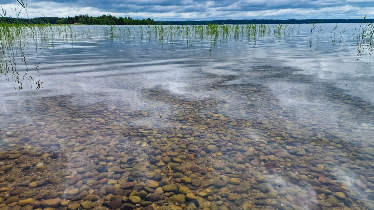 Platelių ežero pakrantė