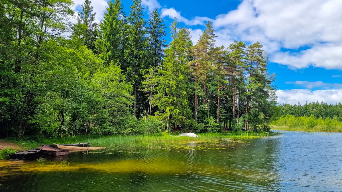 Platelių ežeras