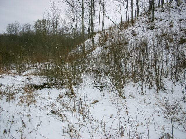 Vadagių piliakalnis – paslaptinga archeologijos atodanga