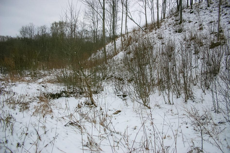Vadagių piliakalnis – paslaptinga archeologijos atodanga