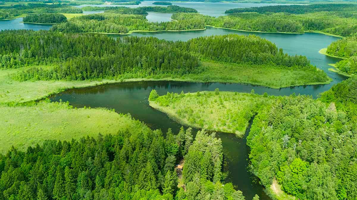Platelių ežeras