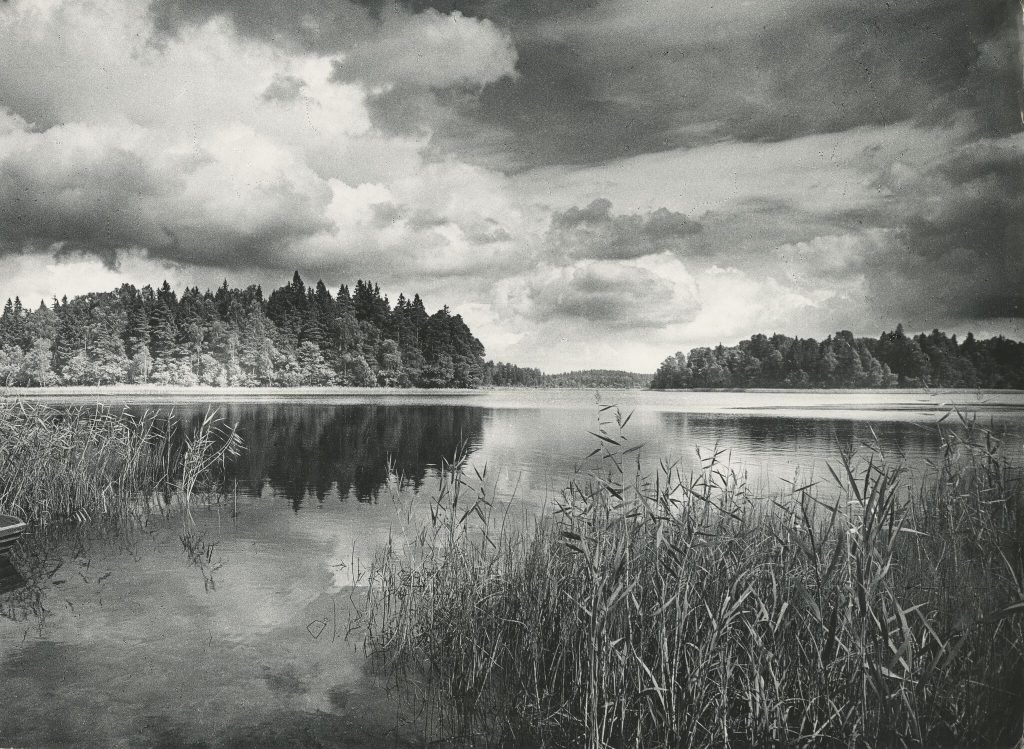 Platelių ežeras foto