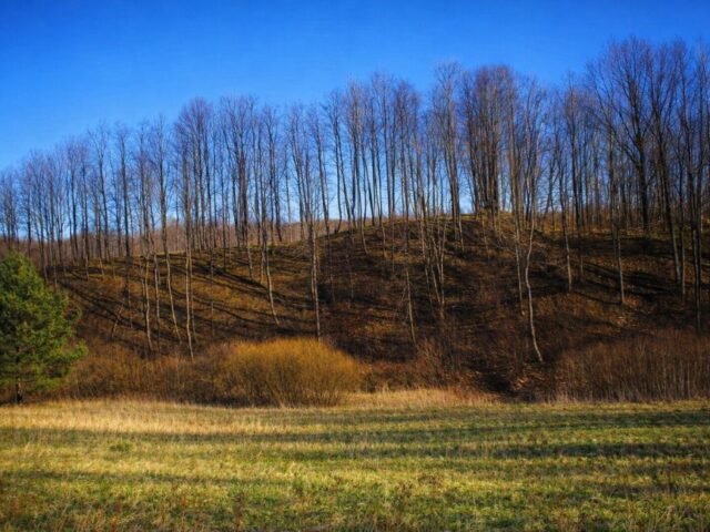 Vadagių piliakalnis – paslaptinga archeologijos atodanga
