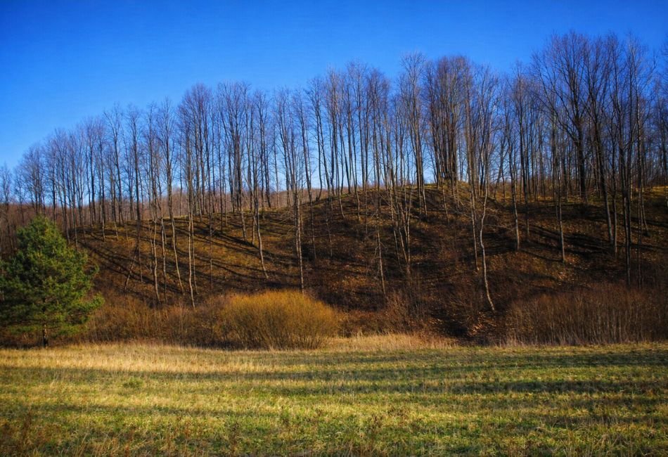 Vadagių piliakalnis – paslaptinga archeologijos atodanga