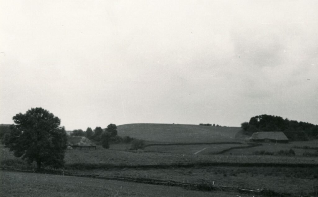 Burbiškių piliakalnis. Tauragės apskritis. Laukuvos valsčius. Burbiškių kaimas