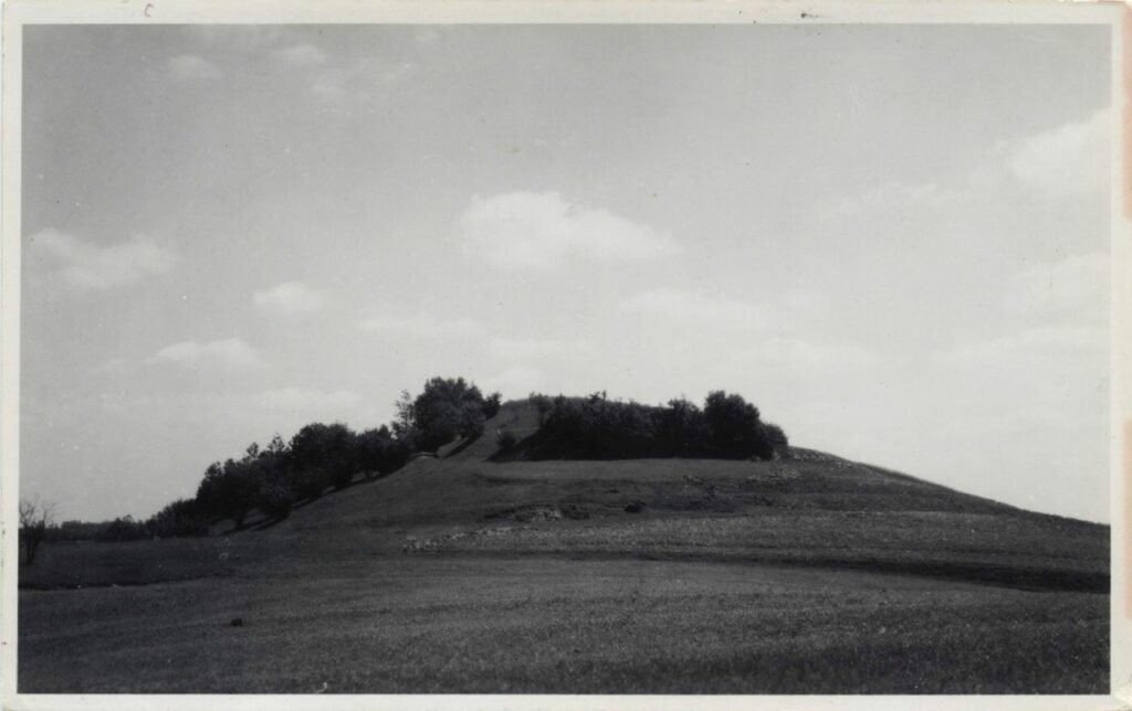 Bilionių piliakalnis iš šiaurės pusės.