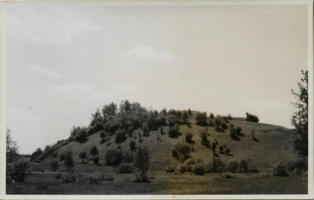 Bilionių piliakalnis iš vakarų pusės.