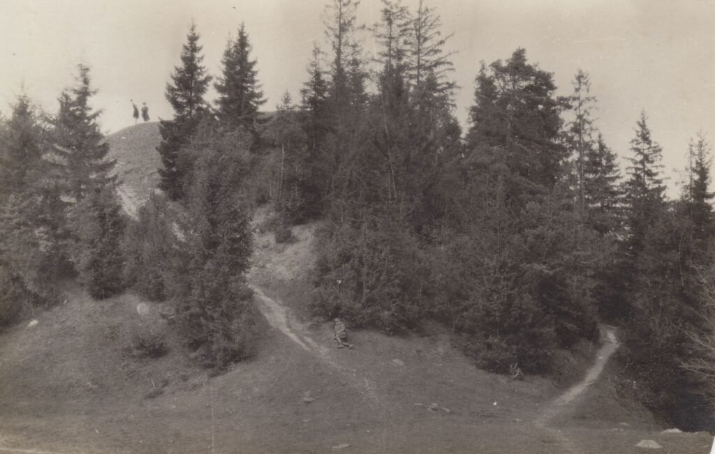 Vytauto kalnas (piliakalnis)