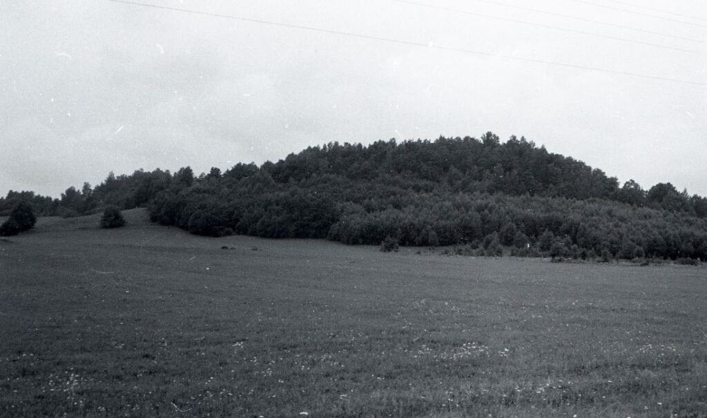 Gerduvėnų pIliakalnis. Klaipėdos rajonas. Ėžaičių apylinkė. Gerduvėnų kaimas