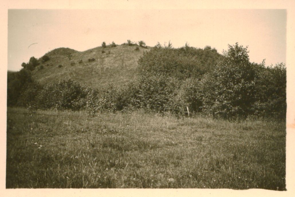 Pyplių piliakalnis. Kačerginė, Kauno raj., Lietuva