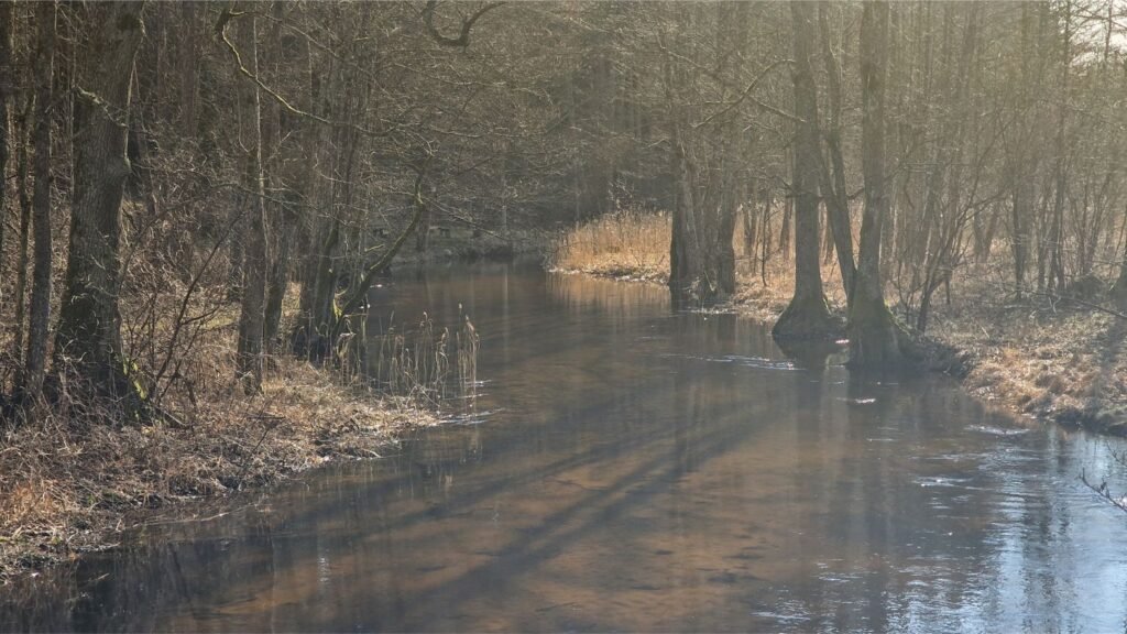 Būkos upė žvelgiant nuo tilto