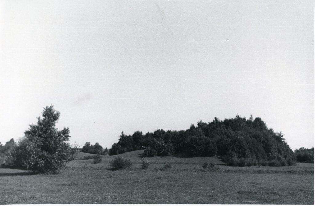 Piliakalnis. Tauragės apskritis. Šilalės valsčius. Biržulaukio (Biržų lauko) kaimas 