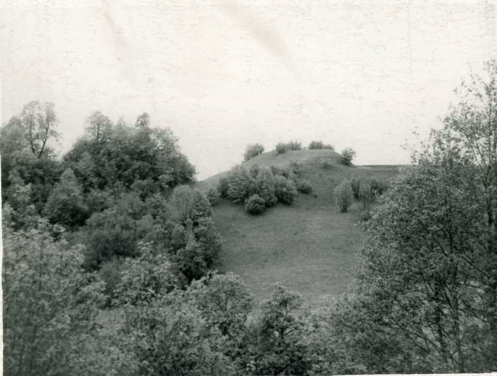 Vedrių piliakalnis. Šilalės rajonas. Vytygalos apylinkė. Vedrių kaimas