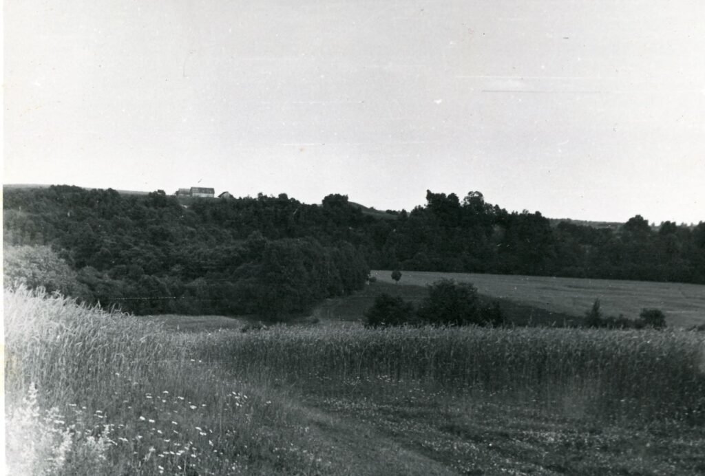 Verdių piliakalnis. Šilutės rajonas. Vedrių kaimas