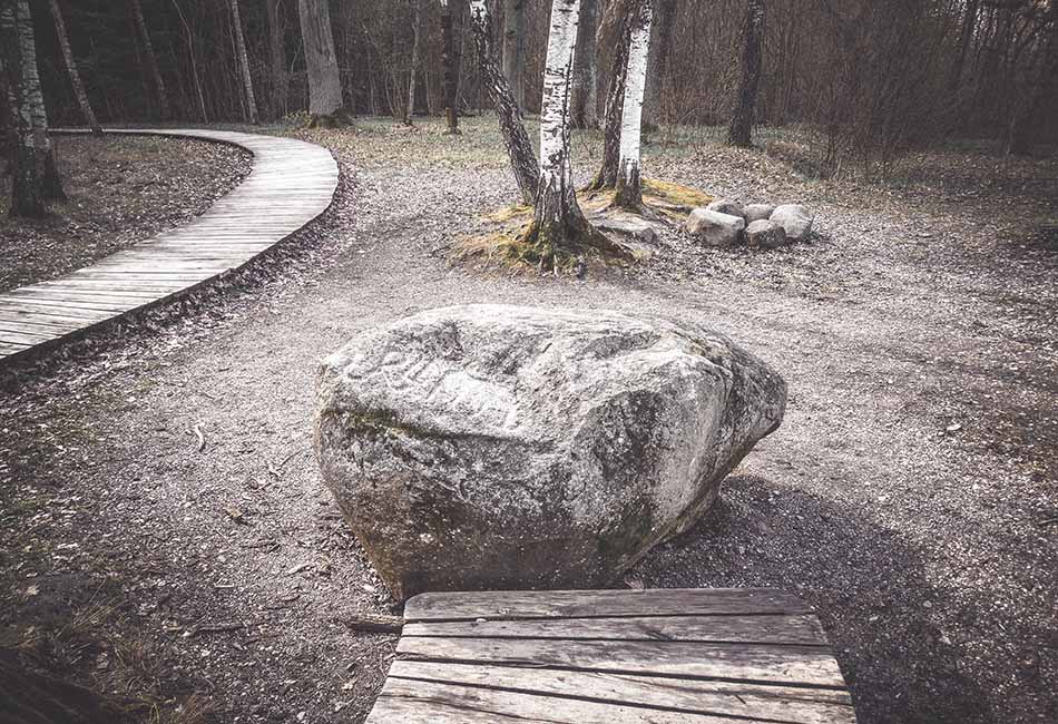 Bradeliškių akmuo su ženklais