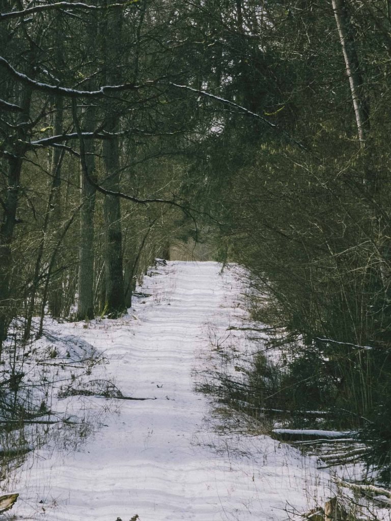 Dūkštų ąžuolynas 2
