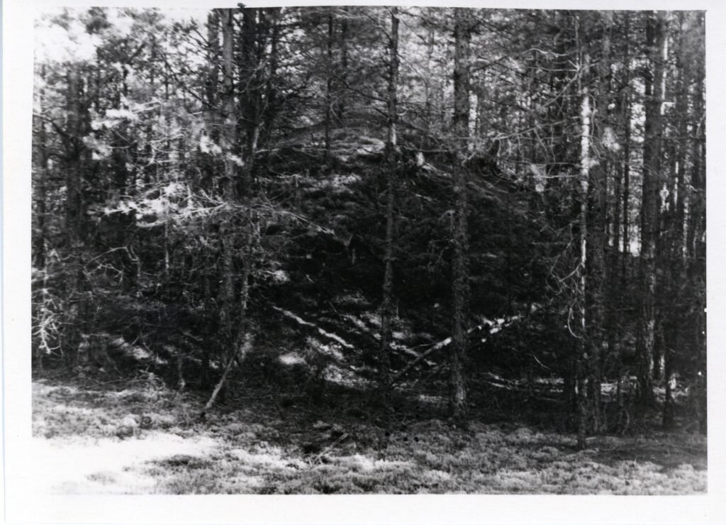Nemunaičio piliakalnis. Alytaus rajonas. Nemunaičio apylinkė. Nemunaičio kaimas