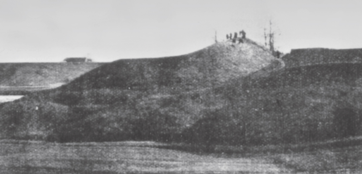 Kumelionių piliakalnis iš šiaurės pusės