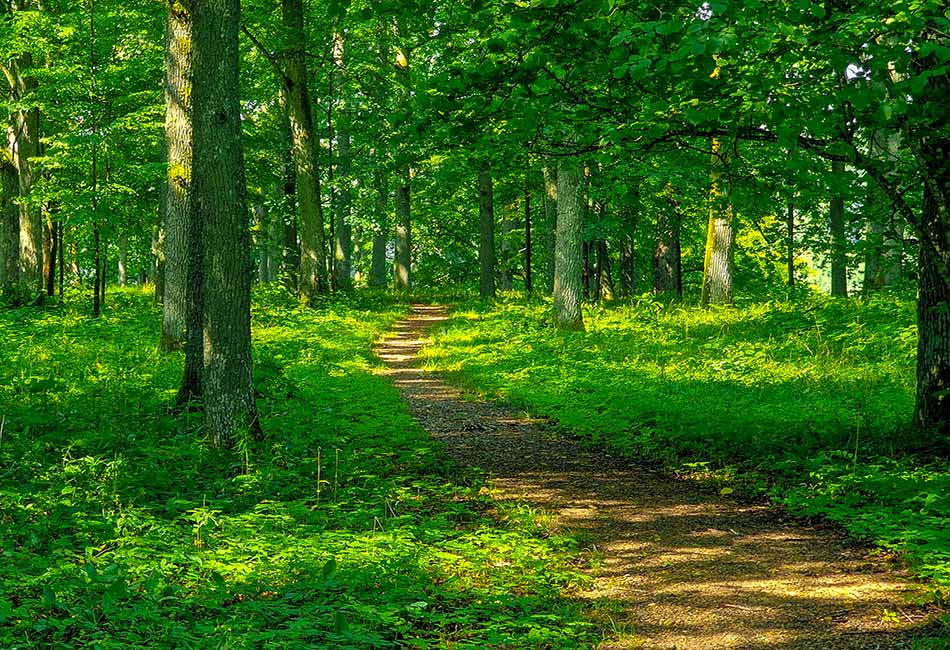 Nausodžio, varkalių piliakalnis