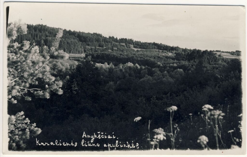 Karalienės liūno apylinkės