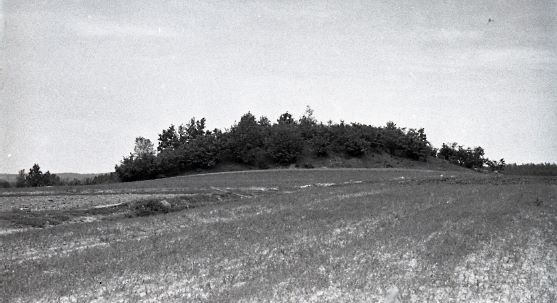 Piliakalnis. Šalčininkų rajonas. Jurgelionių apylinkė. Bečėnų (Bečionių kaimas) 