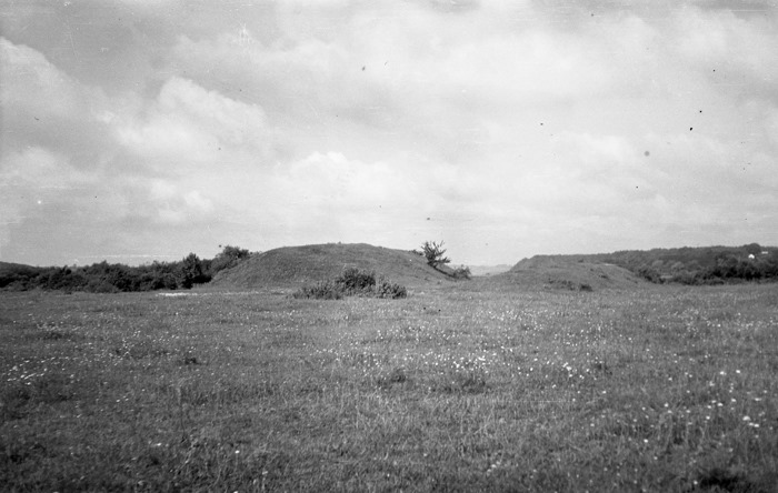 Kalnėnų piliavietė („Bišpiliai“), žiūrint iš rytų. 1960 m.Fot. Vytautas Daugudis