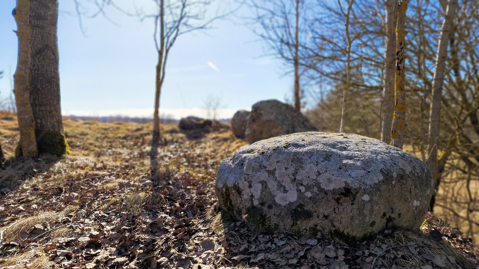 Astronominiai Vyžuonų Ozo akmenys