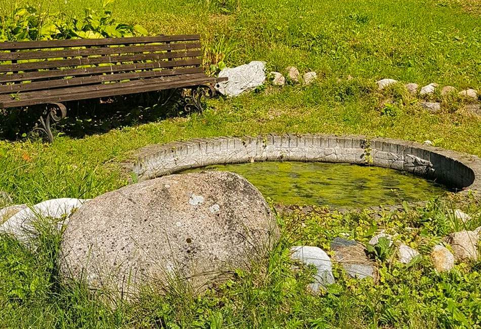 Vyžo šaltinis