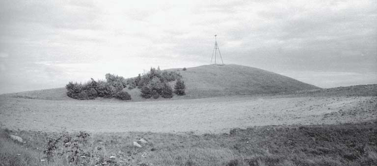 Vištyčio Lauko II piliakalnis iš pietvakarių pusės 