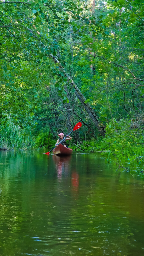 Apgaulinga Kertuojos idilė