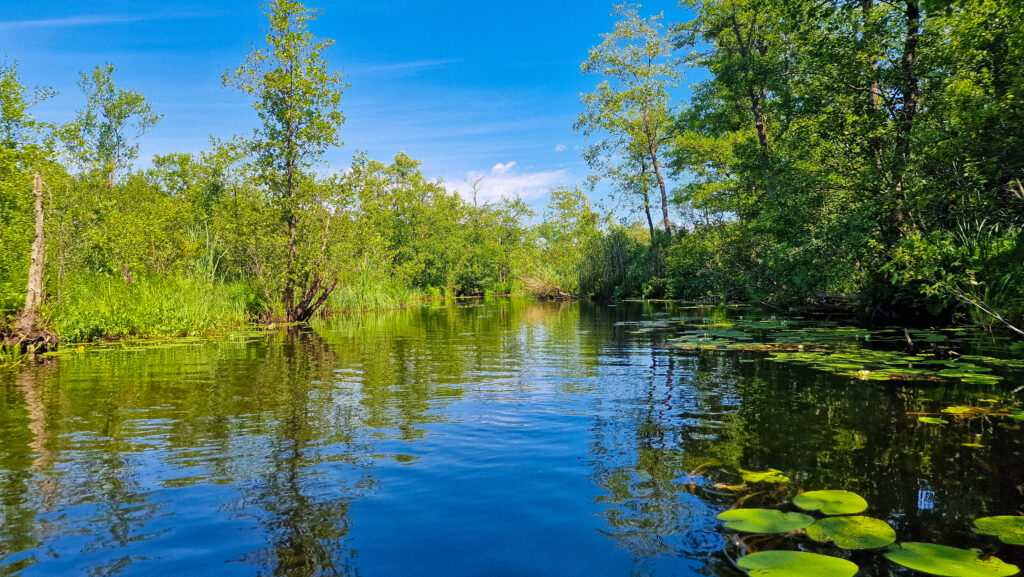 Vaikštėnų upėje