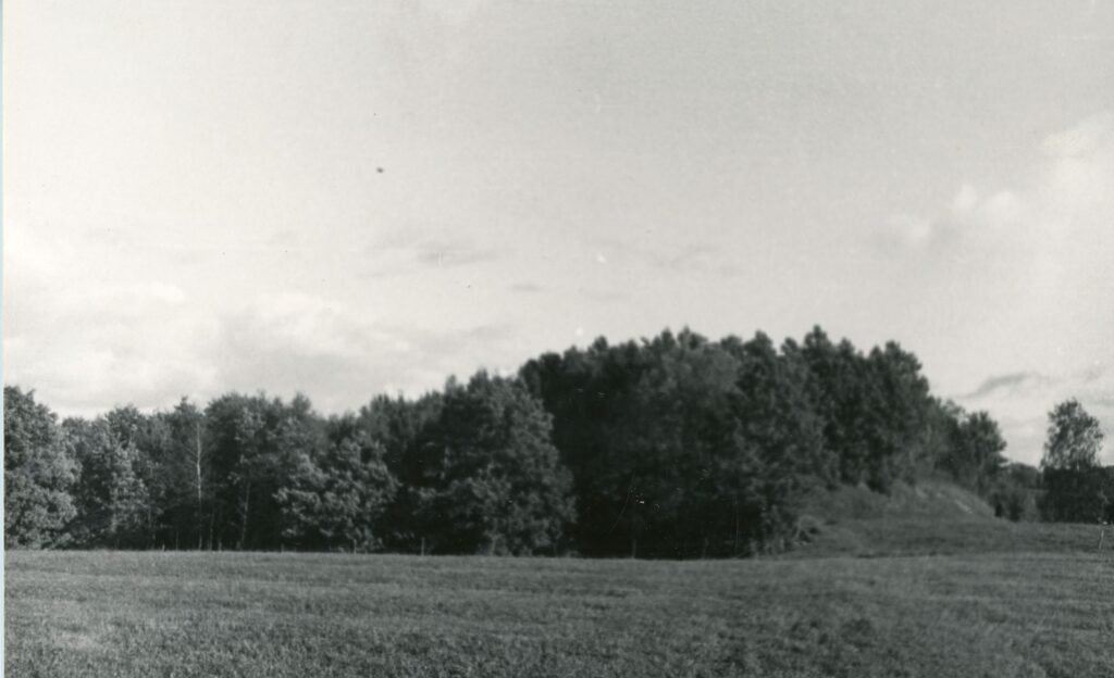 Juodžių piliakalnis