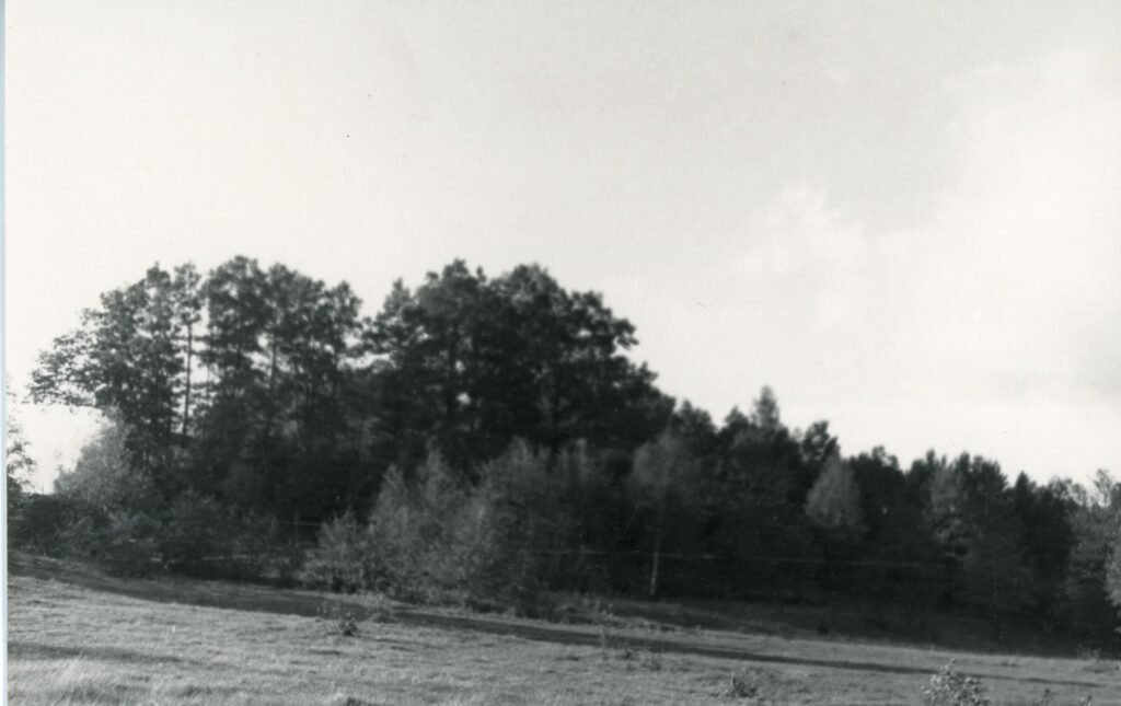 Juodžių piliakalnis