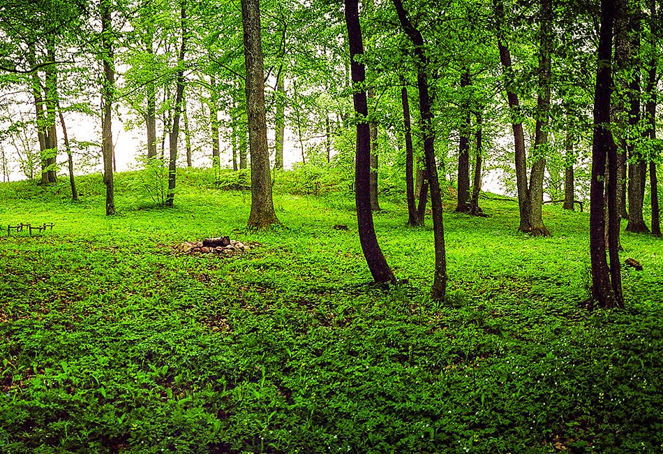 Juodžių piliakalnis