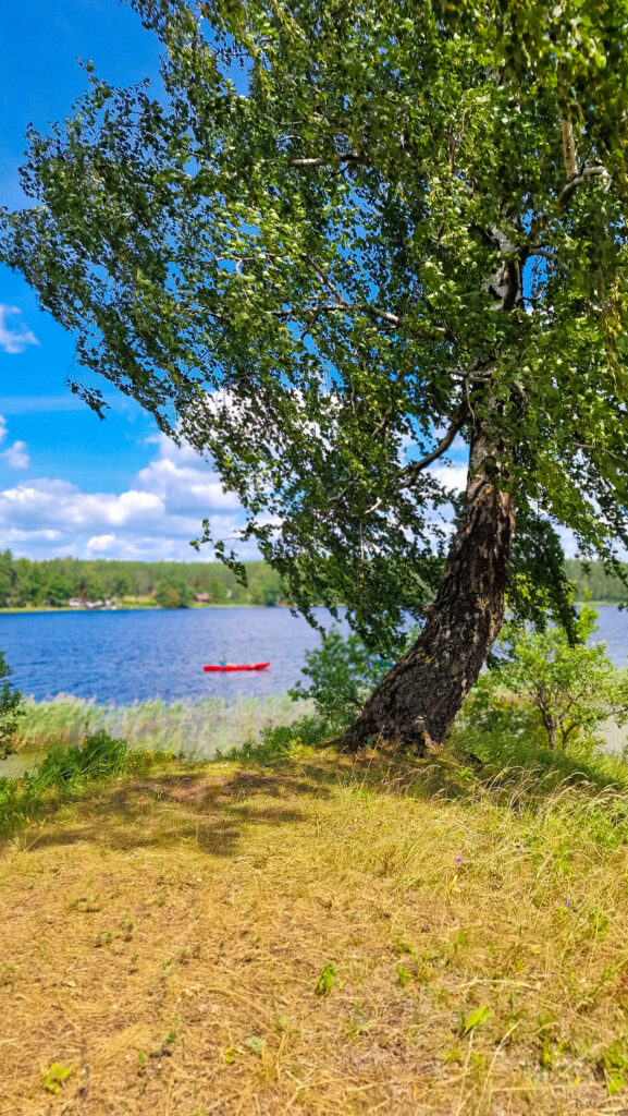 Ežeras ir už jo esantis horizontas iš salos