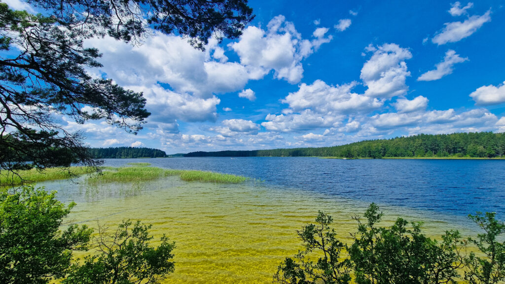 Smėlis iš kurio supustyta sala ant kurios stovime