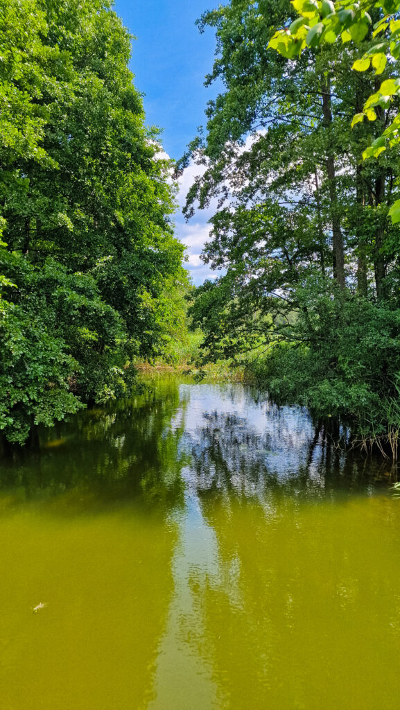 Vartai į Kamužėlio ežerą