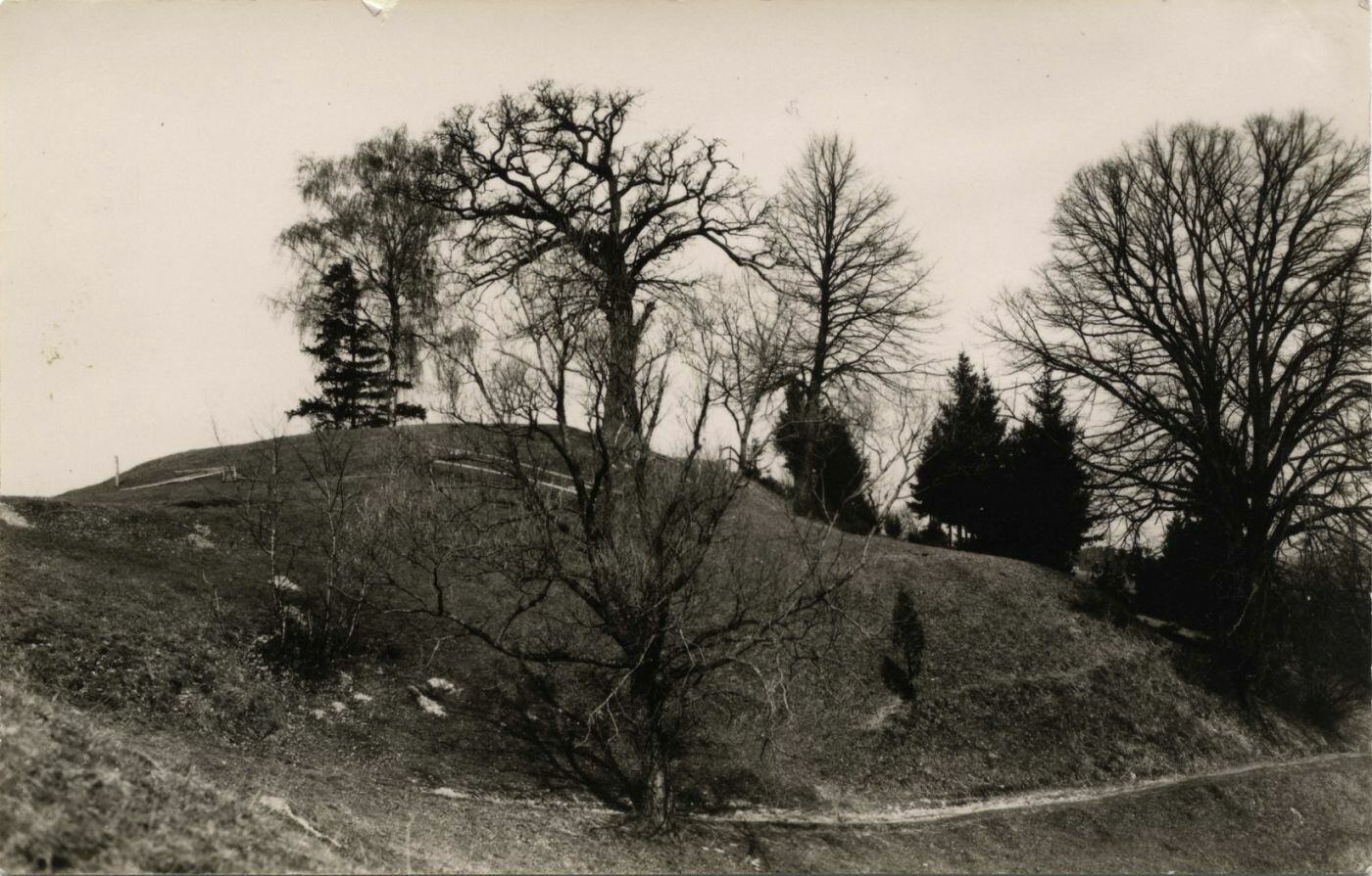 Altoniškių piliakalnis iš pietryčių pusės.