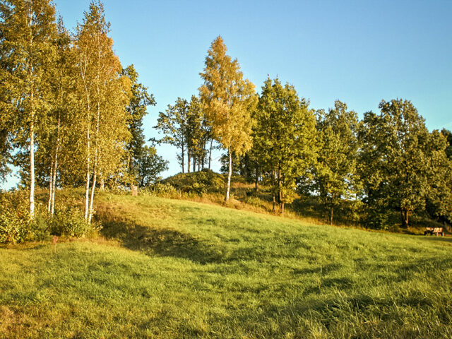 Kalnujų piliakalnis