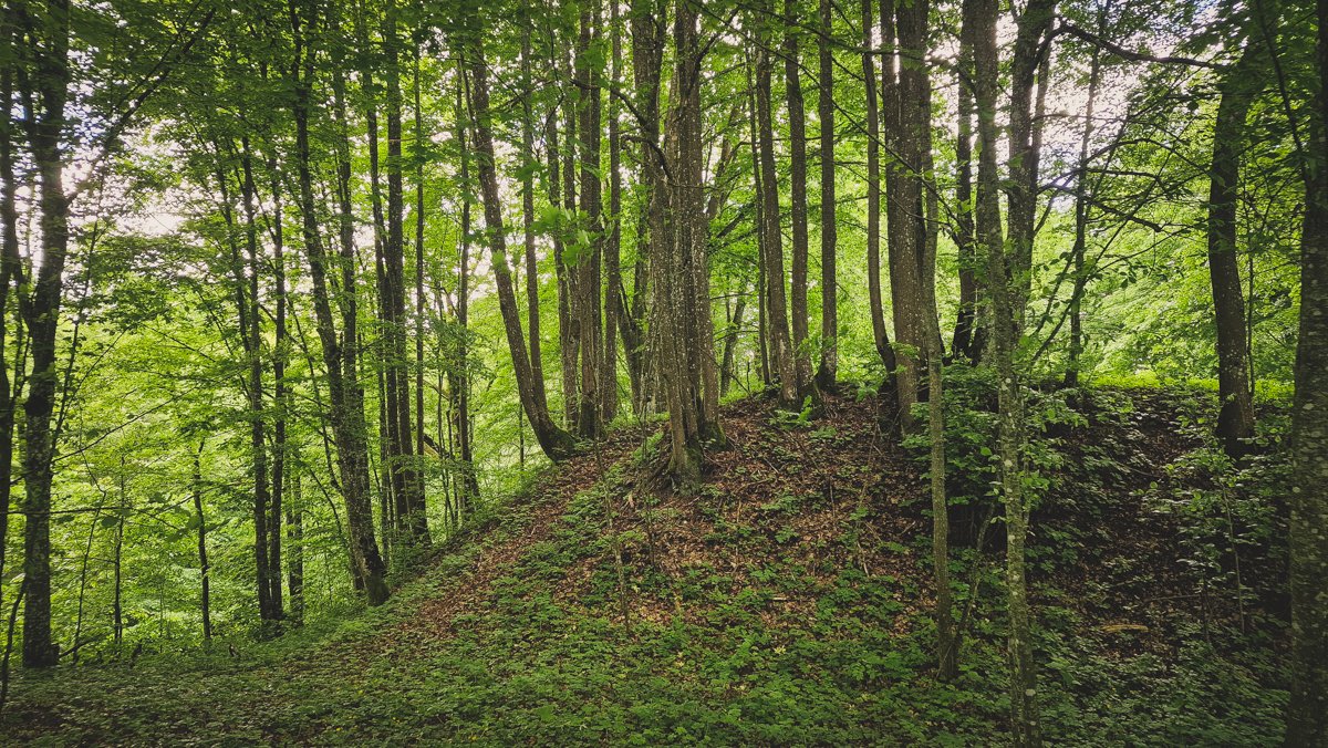 Stakliškių I piliakalnis
