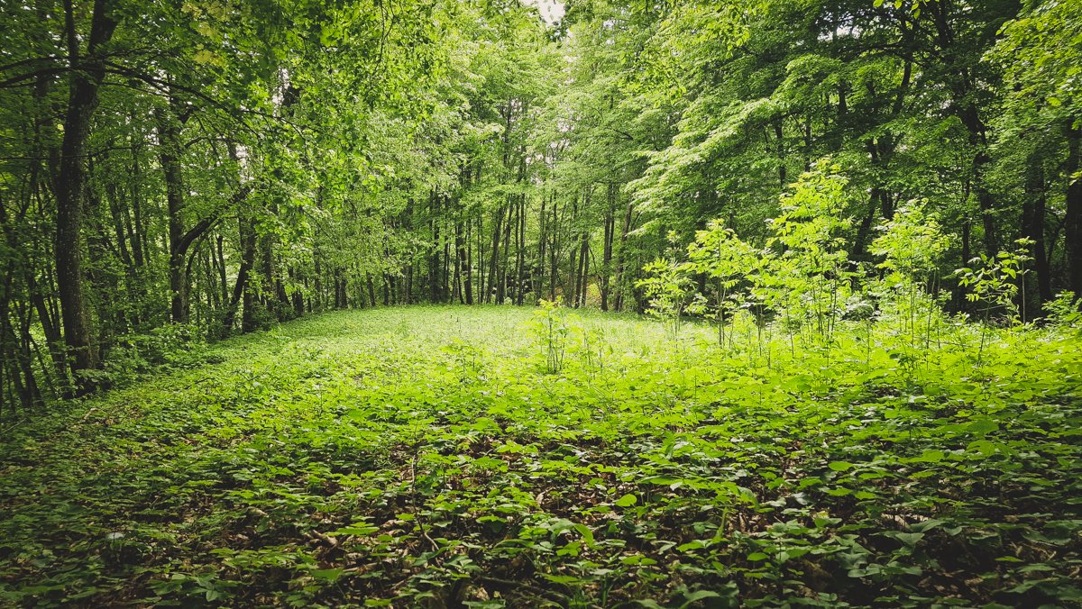 Stakliškių I piliakalnis, pylimo aikštelė.