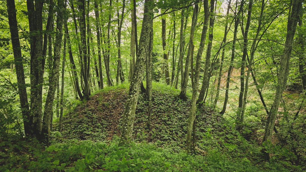 Stakliškių I piliakalnis, grioviu atskirta dalis pylimo aikštelės.