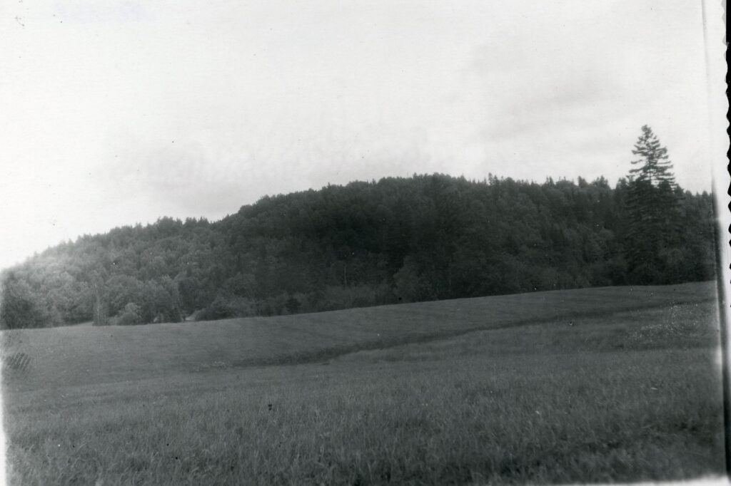 Piliakalnis, vadinamas "Sienakalniu." Jiezno rajonas. Užuguosčio apylinkė. Užukalnio kaimas