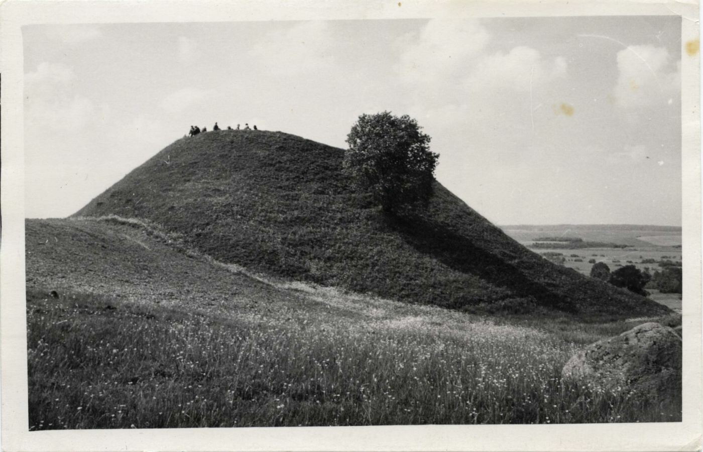 Lepelionių piliakalnis iš šiaurės rytų pusės.