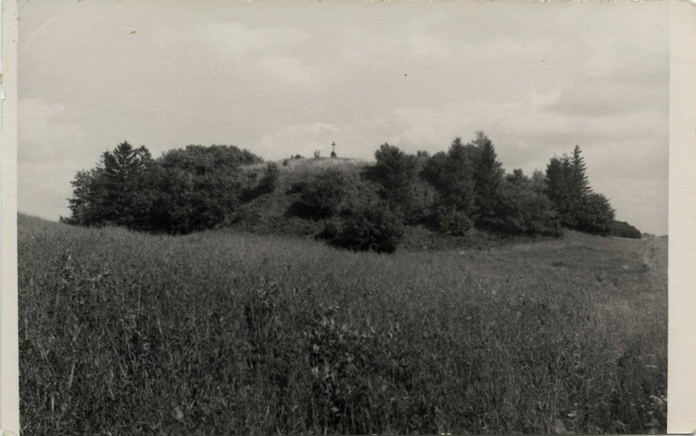 Kudinų piliakalnis iš šiaurės vakarų pusės.