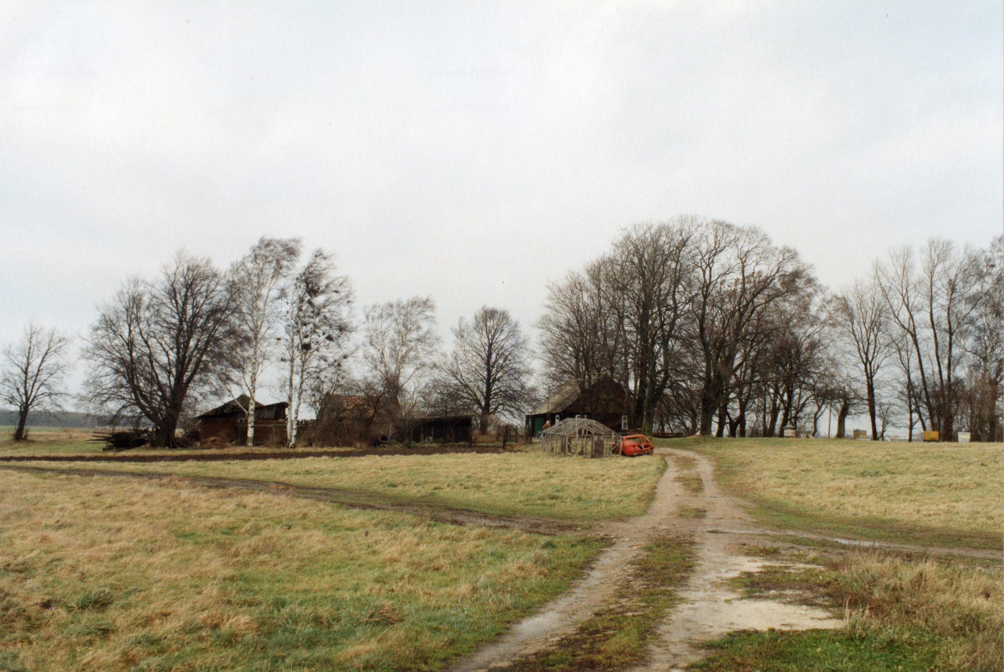 Kiauleikių kapinynas, vad. Kirminų kalnu