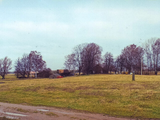 Kiauleikių I kapinynas