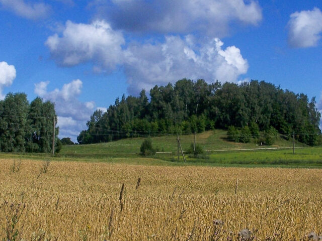 Papilių piliakalnis (kupiškis)