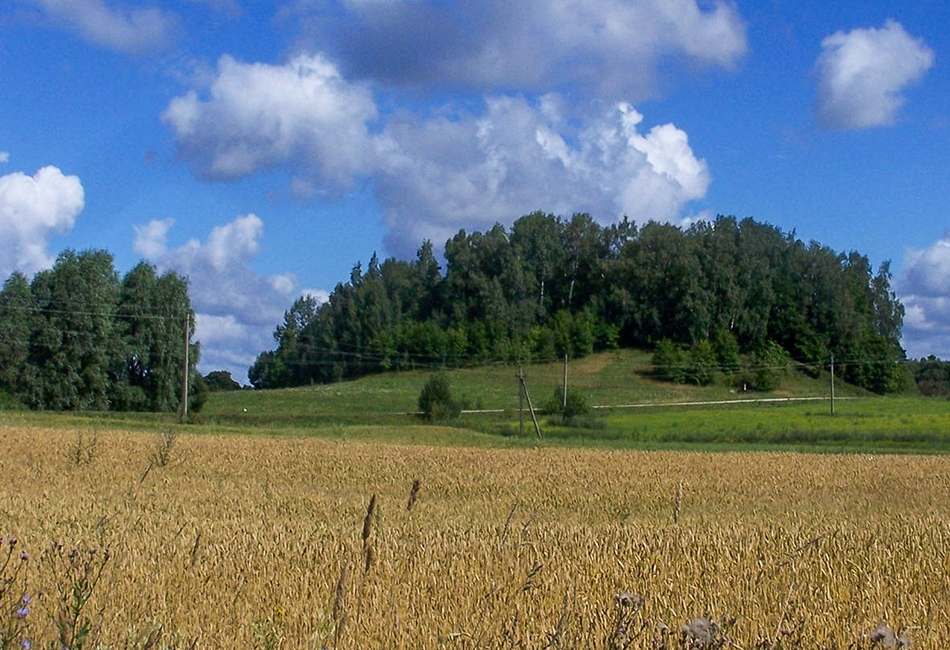 Papilių piliakalnis (kupiškis)