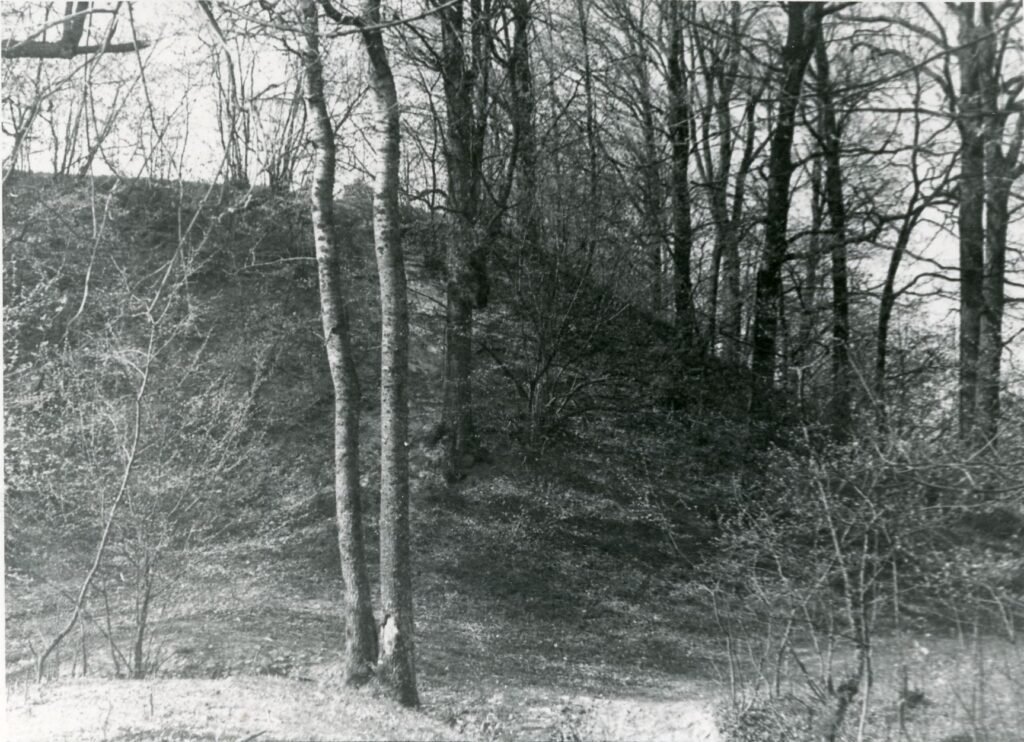 Piliakalnis. Skuodo rajonas. Skuodo apylinkė. Puodkalių kaimas 